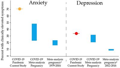 Prenatal Care Disruptions and Associations With Maternal Mental Health During the COVID-19 Pandemic